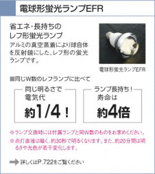 �������߾�����KOIZUMI�����ݥåȥ饤�ȡ��ץ饰�����ŵ巿�ָ�����AS��640006