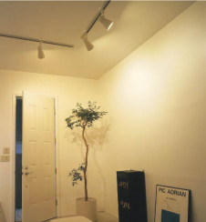 �������߾�����KOIZUMI�����ݥåȥ饤�ȡ��ץ饰�����ŵ巿�ָ�����ASN640008