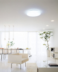 ODELICָ󥰡OL211005LOL211005N롡Ʃ򿧥ץ