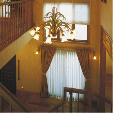 �������߾�����KOIZUMI��ilum �����ǥꥢ����50�ܡ���塡AAE480086��