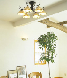 ߾KOIZUMIilum ǥꥢ50ܡ塡AAE570284