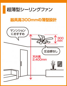 ODELIC������ƥꥢ�ե���WF512L���ݡʥޥåȥ���С��������˱������ںࡦ��С����֥�ʥ����꡼�������ܥˡ��֥饦�󿧡˥��饹�����򥱥��ˡ��ŵ���ָ���EFA