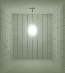 Maxray�����ݥåȥ饤�ȡ�LED���ץ饰����TUTU��MS10151-81-91��MS10151-81-98