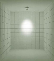 Maxray�����ݥåȥ饤�ȡ��ץ饰����LED�����������ס�TUTU��MS10152-81-91��MS10152-81-98