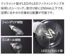 �ޥå����쥤��Maxray��LED�ե�����ȥ��ס��ڥ����ȡ�������󥰡�ML30096-35-91