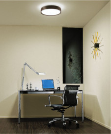 DAIKO ����ŵ� ������� DST-53162 �ܹ���