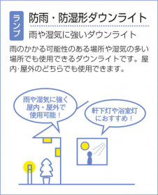 DAIKO ����ŵ� �Ἴ������饤�� �Х��饤�� DOF-1962LW �����