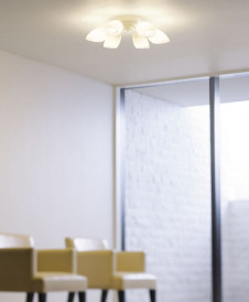 DAIKO ����ŵ� �����ǥꥢ DCH-36986L �ܹ���