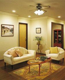 DAIKO ����ŵ� ������󥰥ե��� ����ƥꥢ�ե��� DCH-37303L �ܹ���