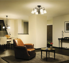 DAIKO ����ŵ� �����ǥꥢ DCH-36707L �ܹ���