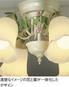 DAIKO ����ŵ� �֥饱�å� DBK-34806L ���ͼ̿�