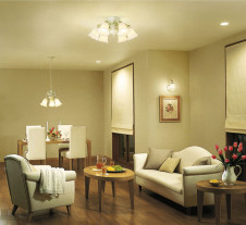 DAIKO ����ŵ� �֥饱�å� DBK-34806L �ܹ���