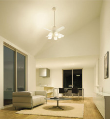 DAIKO ����ŵ� ������󥰥ե������ ����ƥꥢ�ե��� DP-37611L �ܹ���