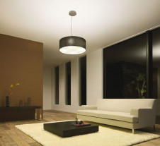 DAIKO ����ŵ� �ڥ����� DPN-37314L �ܹ���