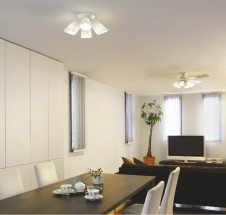 KOIZUMI �������� �������� �ָ�ľ�ե����ǥꥢ �����ǥꥢ �ָ������ŵ忧��  AAN585146