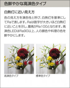 DAIKO ����ŵ� LED���ݥåȥ饤�� DECOLED��S(LED����) DSL-3367YWE �����