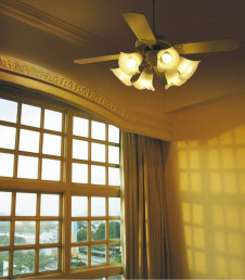 KOIZUMI �������� �������� ŷ�������� ����ƥꥢ�ե��� �ָ������ŵ忧��  AAN590238