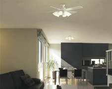 KOIZUMI �������� �������� ����ƥꥢ�ե��� ����ƥꥢ�ե��� �ָ������ŵ忧��  AAN595043