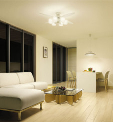 DAIKO ����ŵ� ������󥰥ե��� ����ƥꥢ�ե��� DCH-36595L �ܹ���