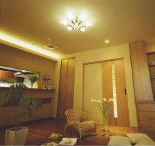 KOIZUMI �������� �������� �ָ��������ǥꥢ �����ǥꥢ �ָ������ŵ忧��  AAN685026