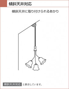 KOIZUMI �������� �������� �ָ�����ȴ�����ǥꥢ �����ǥꥢ �ָ������ŵ忧��  AAN685064