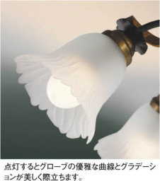 KOIZUMI �������� �������� ����ॷ���ǥꥢ �����ǥꥢ �ָ������ŵ忧��  AAN685072