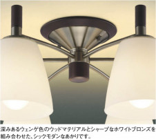 KOIZUMI �������� �������� �ָ��������ǥꥢ �����ǥꥢ �ָ������ŵ忧��  AAN685073