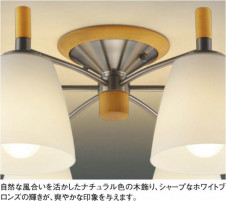 KOIZUMI �������� �������� �ָ��������ǥꥢ �����ǥꥢ �ָ������ŵ忧��  AAN685074