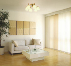 KOIZUMI �������� �������� �ָ��������ǥꥢ �����ǥꥢ �ָ������ŵ忧��  AAN685074