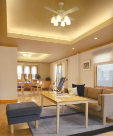 KOIZUMI �������� �������� ŷ�������� ����ƥꥢ�ե��� �ָ������ŵ忧��  AAN690020