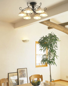 KOIZUMI �������� �������� �����֥饱�å� �֥饱�å� ��Ǯ�� ��Ǯ����ץȥ�� ABE546021