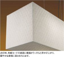 KOIZUMI �������� �������� ������Ǯ���֥饱�å� ���� ��Ǯ�� ��Ǯ�ϥ������ ABE547231