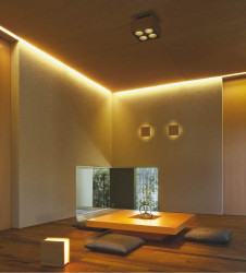 KOIZUMI �������� �������� ������Ǯ���֥饱�å� ���� ��Ǯ�� ��Ǯ���פ���¾ ABE645000