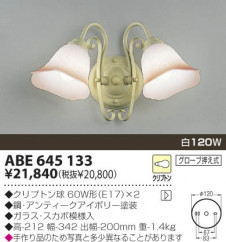 KOIZUMI   Ǯ֥饱å ֥饱å Ǯ Ǯץȥ ABE645133