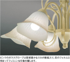 KOIZUMI   Ǯ֥饱å ֥饱å Ǯ Ǯץȥ ABE645133