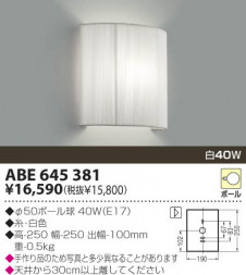 KOIZUMI �������� �������� ��Ǯ���֥饱�å� �֥饱�å� ��Ǯ�� ��Ǯ�ܡ���� ABE645381