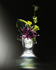 DAIKO ����ŵ� ������� DECOLED��S(LED����) DST-54227 �ܹ���