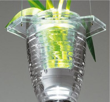 DAIKO ����ŵ� LED DECOLED��S(LED����) �֥饱�å� DBK-54226 ���ͼ̿�