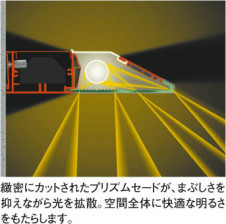 KOIZUMI �������� �������� �ָ����֥饱�å� �֥饱�å� �ָ������ŵ忧��  ABN645119