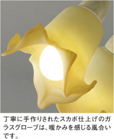 KOIZUMI �������� �������� �����֥饱�å� �֥饱�å� �ָ������ŵ忧��  ABN645377