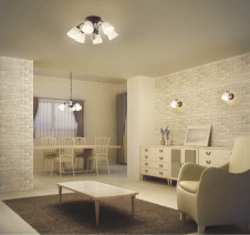 KOIZUMI   ָ֥饱å ֥饱å ָŵ忧  ABN646049