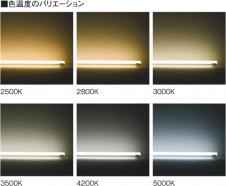 KOIZUMI �������� �������� �����ָ����֥饱�å� ����   ABN646097