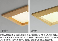 KOIZUMI �������� �������� SG��������饤�� ������饤�ȡ�����١����饤�ȴޤ�� �ָ������ŵ忧��  ADN550656