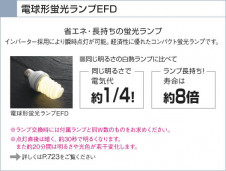 KOIZUMI   ⵤ̩饤 饤ȡ١饤ȴޤ ָŵ忧  ADN650185