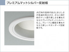 KOIZUMI   ⵤ̩饤 饤ȡ١饤ȴޤ ָŵ忧  ADN650244