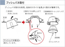 KOIZUMI   SG饤 饤ȡ١饤ȴޤ ָ򿧡  ADN650249