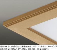 KOIZUMI   ָ  ָŵ忧  ADN650269