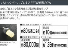 KOIZUMI �������� �������� �ⵤ̩������饤�� ������饤�ȡ�����١����饤�ȴޤ�� �ָ��������򿧡�  ADN650429