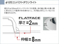 KOIZUMI �������� �������� SG��������饤�� ������饤�ȡ�����١����饤�ȴޤ�� �ָ������ŵ忧��  ADN650459