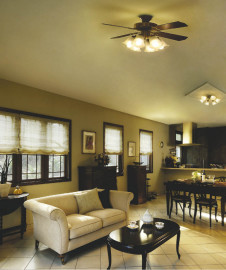 KOIZUMI   ƥꥢե ƥꥢե   AEE695045